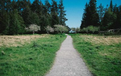 Nulla quo magnam nihil fugiat aspernatur