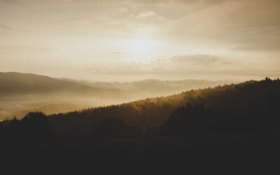 Laudantium aut tempora illum